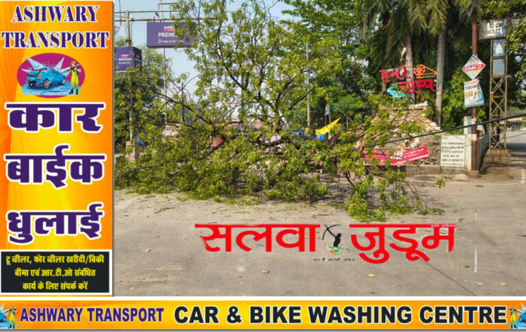 बिना मौसम के गिरा ‘विशालकाय नीम’, चांपा नगर पालिका और वन विभाग की खुली पोल!,,,